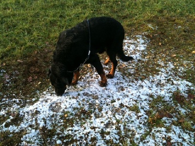 du Domaine de Glade - Barthez aux truffes...