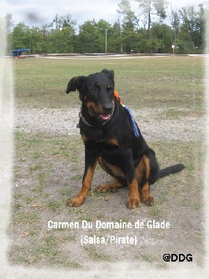 du Domaine de Glade - Journée Beauceronne de Mérignac