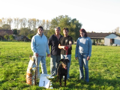 du Domaine de Glade - Barthez, Meilleur chien de la Journée Beauceronne de Louroux