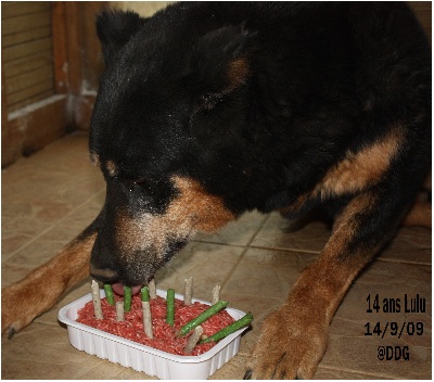 du Domaine de Glade - 14 ans Lulu. Bon Anniversaire ma Belle...