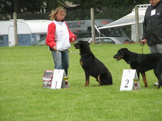 du Domaine de Glade - NATIONALE D'ELEVAGE LA SOUTERRAINE 2007