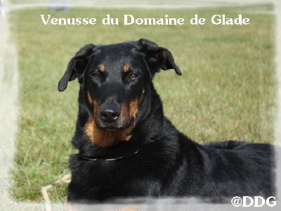 du Domaine de Glade - Résultats de la Journée Beauceronne de Louroux Hodement....