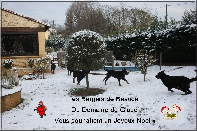 du Domaine de Glade - Joyeux Noel !!