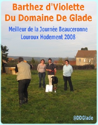 du Domaine de Glade - Barthez meilleur chien de la Journée à Louroux pour la 2° année !!!!!!