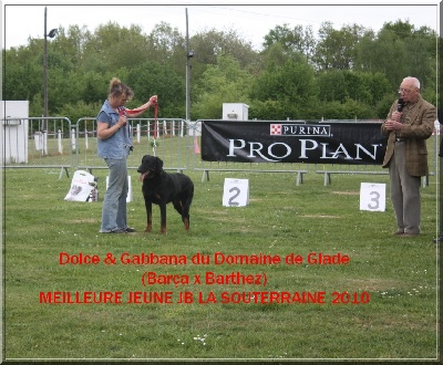 du Domaine de Glade - Les résultats tardifs de la JB de la Souterraine