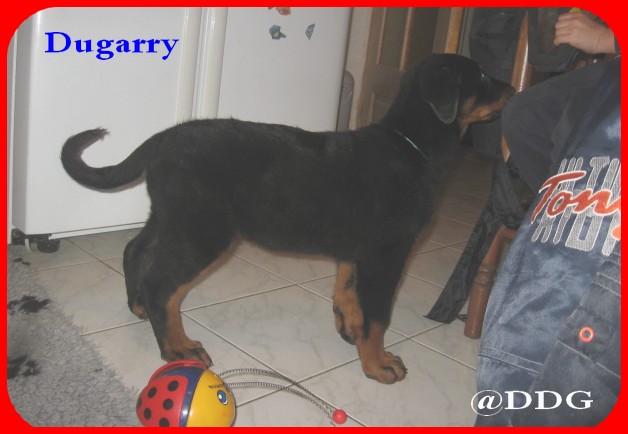 Dugarry du Domaine de Glade